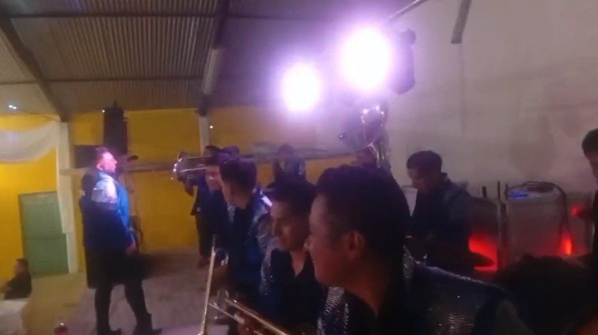 Grupo de Banda en Vivo